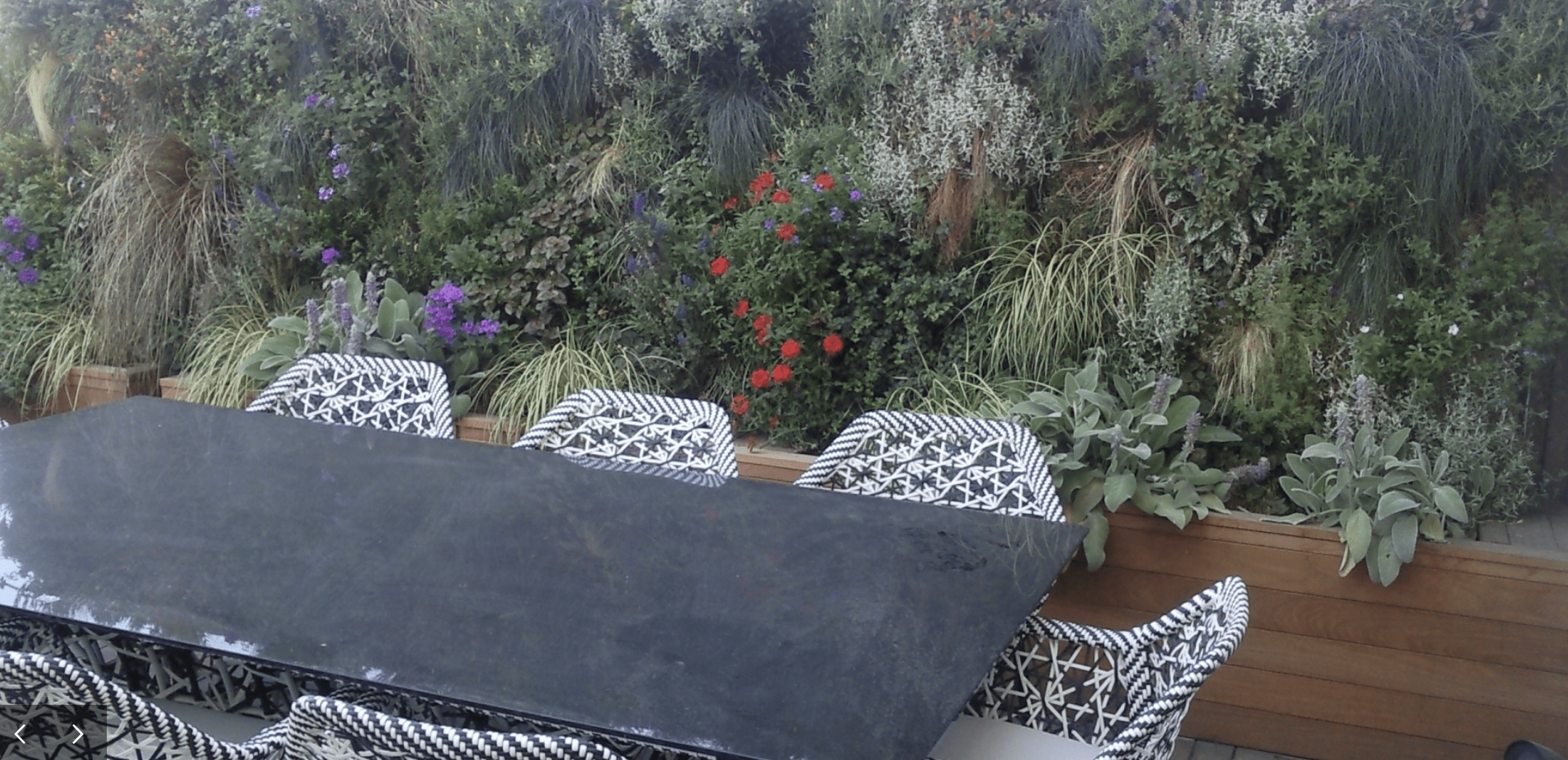 Captura de Pantalla 2025-03-05 a las 9.39.14