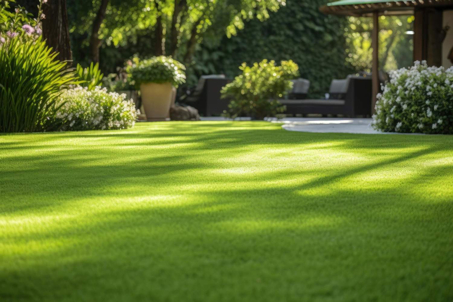 Arquitectura Vegetal